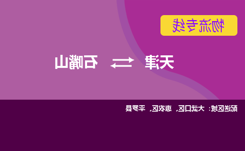 天津到石嘴山货运公司-天津至石嘴山货运专线-天津到石嘴山物流公司